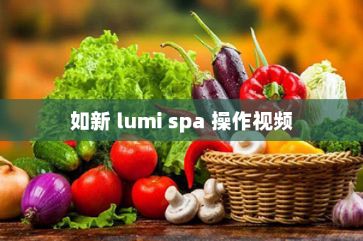 如新 lumi spa 操作视频