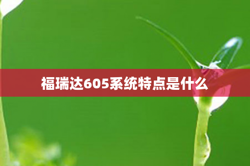 福瑞达605系统特点是什么