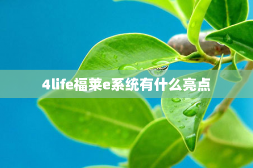 4life福莱e系统有什么亮点