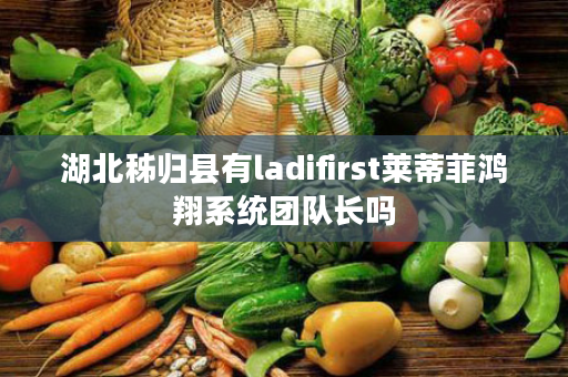 湖北秭归县有ladifirst莱蒂菲鸿翔系统团队长吗