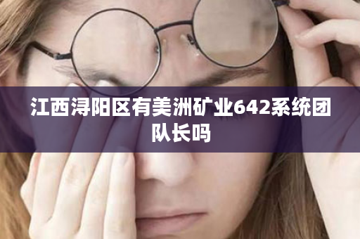 江西浔阳区有美洲矿业642系统团队长吗