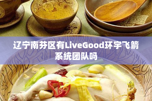 辽宁南芬区有LiveGood环宇飞箭系统团队吗