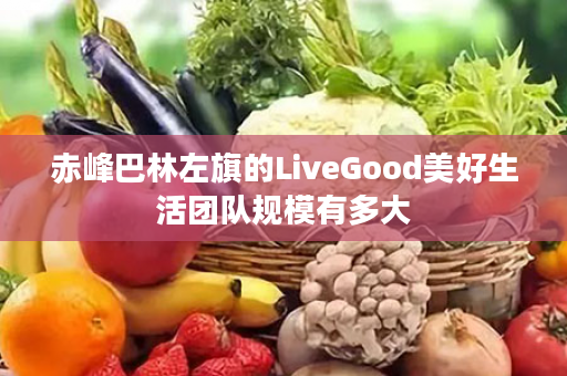 赤峰巴林左旗的LiveGood美好生活团队规模有多大