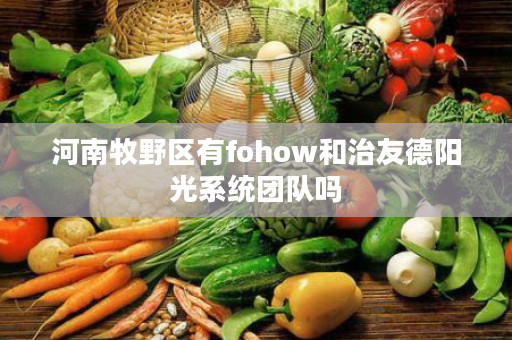 河南牧野区有fohow和治友德阳光系统团队吗