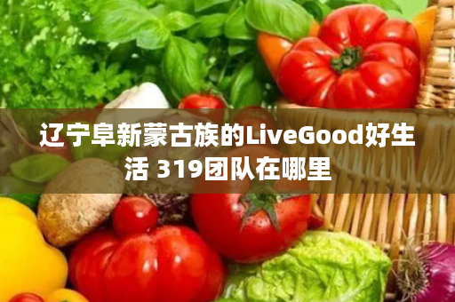 辽宁阜新蒙古族的LiveGood好生活 319团队在哪里