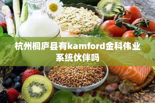 杭州桐庐县有kamford金科伟业系统伙伴吗