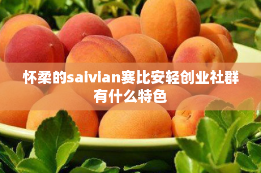 怀柔的saivian赛比安轻创业社群有什么特色