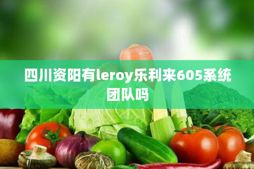 四川资阳有leroy乐利来605系统团队吗