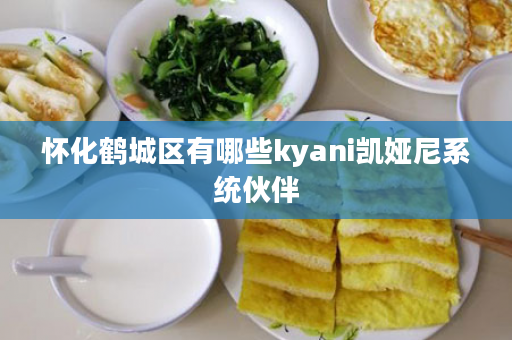 怀化鹤城区有哪些kyani凯娅尼系统伙伴