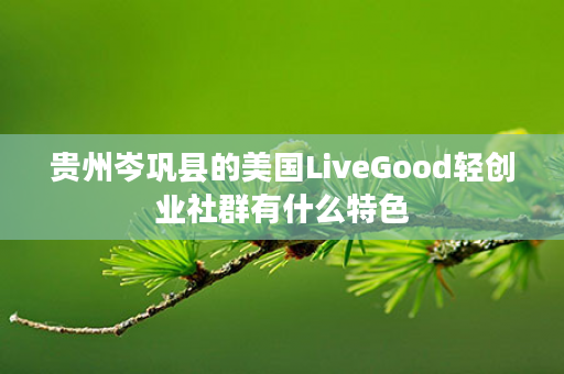 贵州岑巩县的美国LiveGood轻创业社群有什么特色