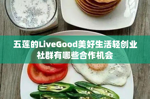 五莲的LiveGood美好生活轻创业社群有哪些合作机会