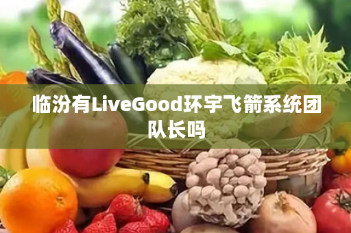 临汾有LiveGood环宇飞箭系统团队长吗