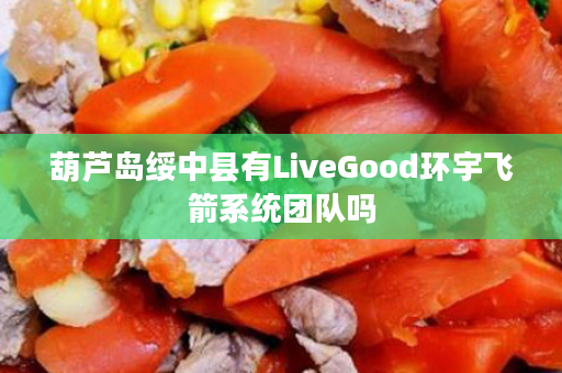 葫芦岛绥中县有LiveGood环宇飞箭系统团队吗