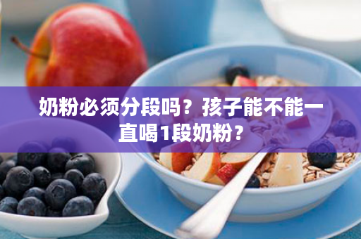 奶粉必须分段吗？孩子能不能一直喝1段奶粉？