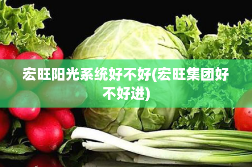 宏旺阳光系统好不好(宏旺集团好不好进)