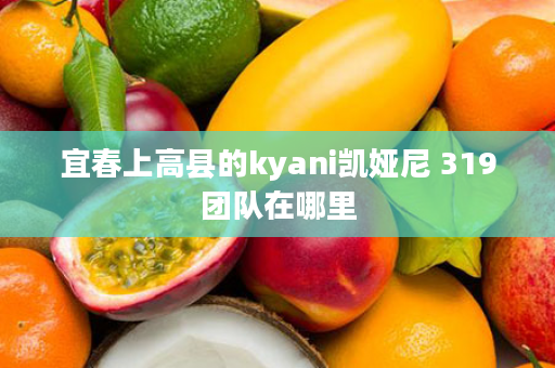 宜春上高县的kyani凯娅尼 319团队在哪里