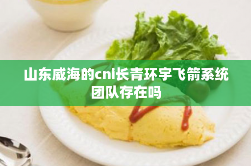 山东威海的cni长青环宇飞箭系统团队存在吗