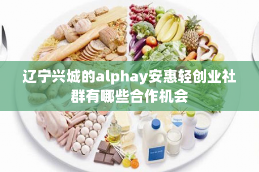 辽宁兴城的alphay安惠轻创业社群有哪些合作机会