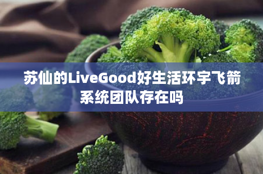 苏仙的LiveGood好生活环宇飞箭系统团队存在吗