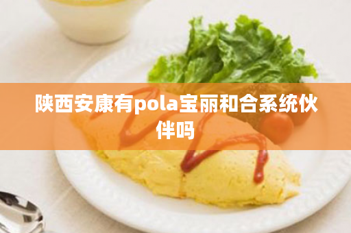 陕西安康有pola宝丽和合系统伙伴吗