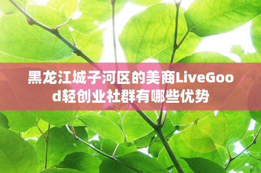 黑龙江城子河区的美商LiveGood轻创业社群有哪些优势