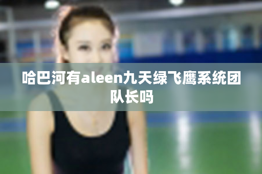 哈巴河有aleen九天绿飞鹰系统团队长吗