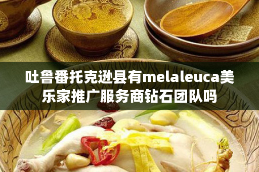 吐鲁番托克逊县有melaleuca美乐家推广服务商钻石团队吗