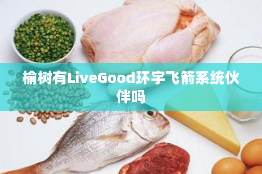 榆树有LiveGood环宇飞箭系统伙伴吗