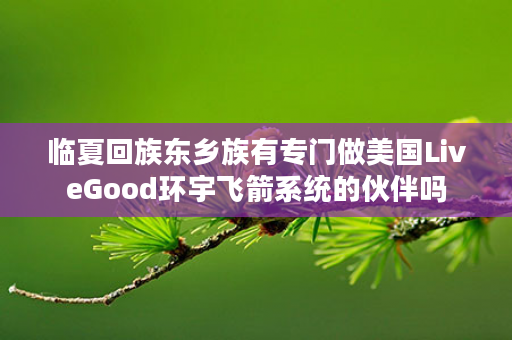 临夏回族东乡族有专门做美国LiveGood环宇飞箭系统的伙伴吗