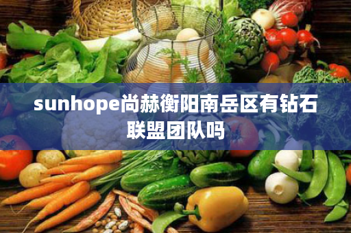 sunhope尚赫衡阳南岳区有钻石联盟团队吗