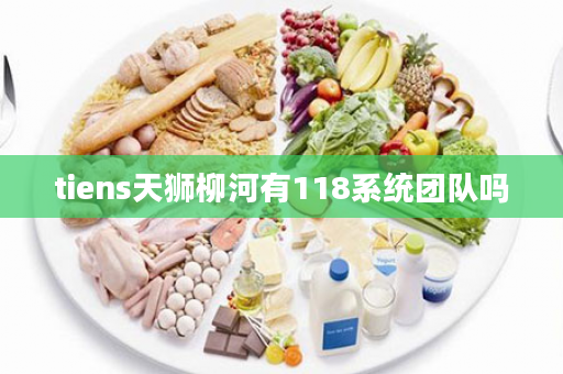 tiens天狮柳河有118系统团队吗