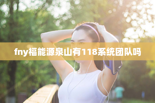 fny福能源泉山有118系统团队吗