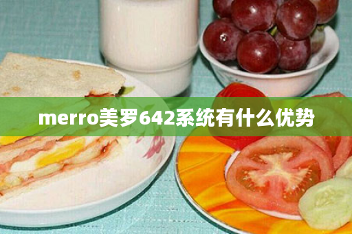 merro美罗642系统有什么优势