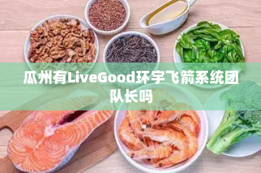 瓜州有LiveGood环宇飞箭系统团队长吗