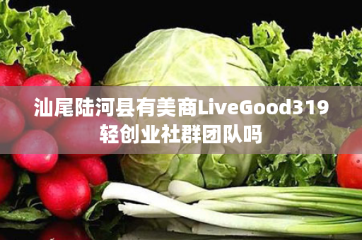 汕尾陆河县有美商LiveGood319轻创业社群团队吗