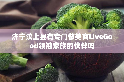 济宁汶上县有专门做美商LiveGood领袖家族的伙伴吗