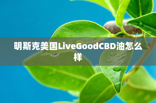 明斯克美国LiveGoodCBD油怎么样