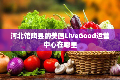 河北馆陶县的美国LiveGood运营中心在哪里