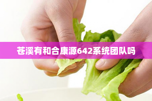 苍溪有和合康源642系统团队吗