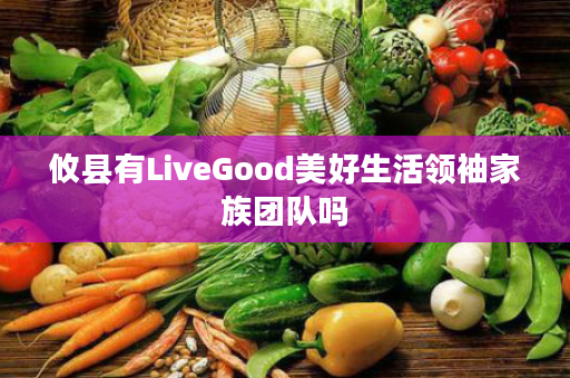 攸县有LiveGood美好生活领袖家族团队吗