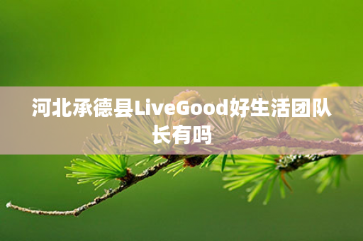 河北承德县LiveGood好生活团队长有吗