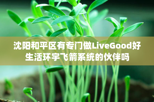 沈阳和平区有专门做LiveGood好生活环宇飞箭系统的伙伴吗