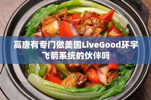 高唐有专门做美国LiveGood环宇飞箭系统的伙伴吗