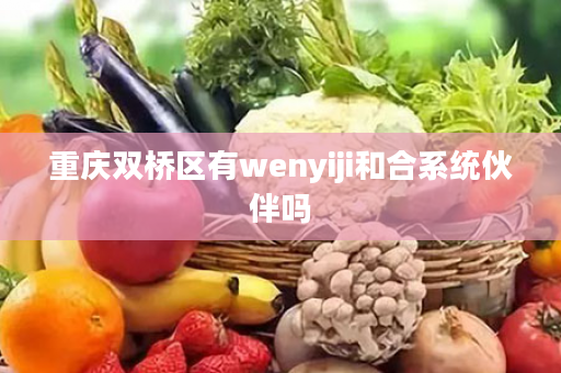 重庆双桥区有wenyiji和合系统伙伴吗