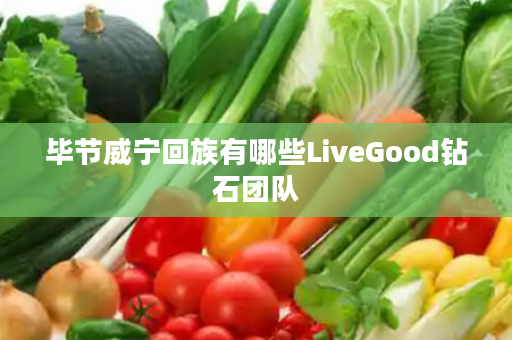 毕节威宁回族有哪些LiveGood钻石团队