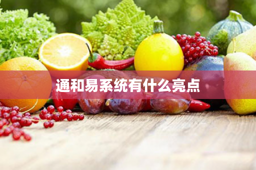 通和易系统有什么亮点