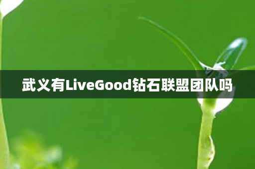 武义有LiveGood钻石联盟团队吗