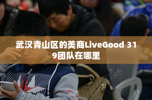 武汉青山区的美商LiveGood 319团队在哪里