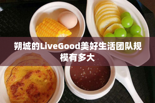 朔城的LiveGood美好生活团队规模有多大