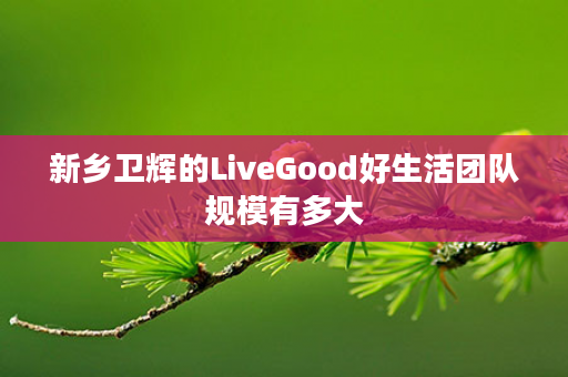 新乡卫辉的LiveGood好生活团队规模有多大